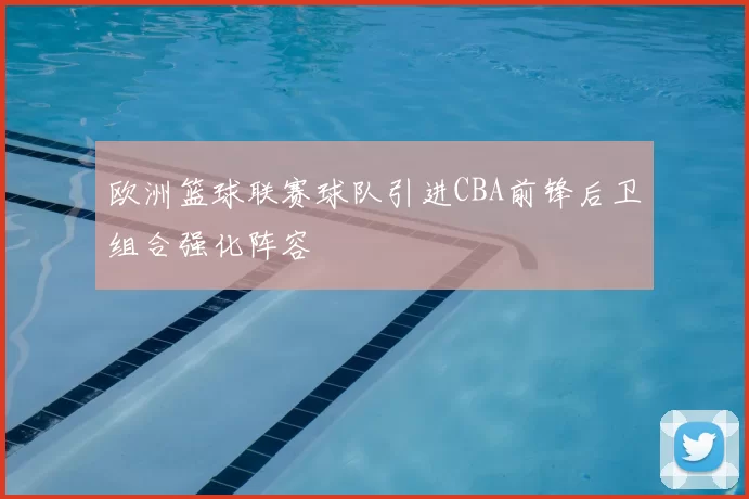 欧洲篮球联赛球队引进CBA前锋后卫组合强化阵容