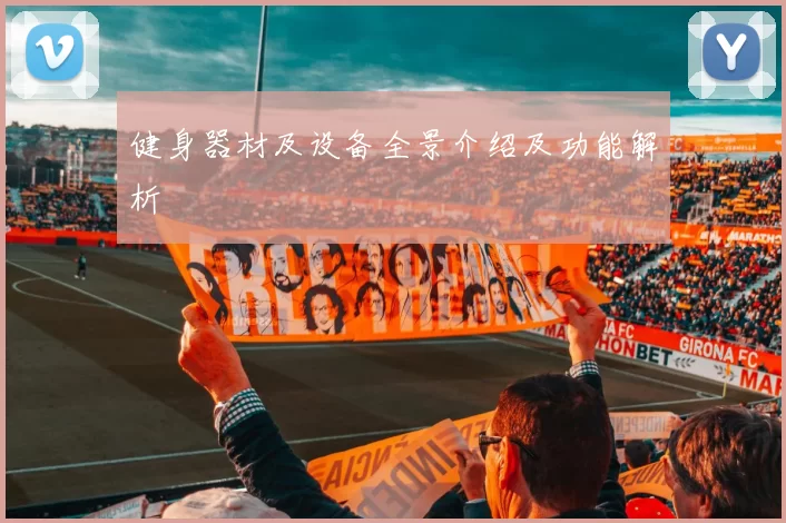健身器材及设备全景介绍及功能解析