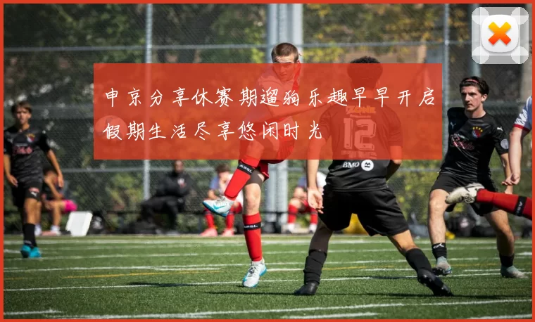 申京分享休赛期遛狗乐趣早早开启假期生活尽享悠闲时光