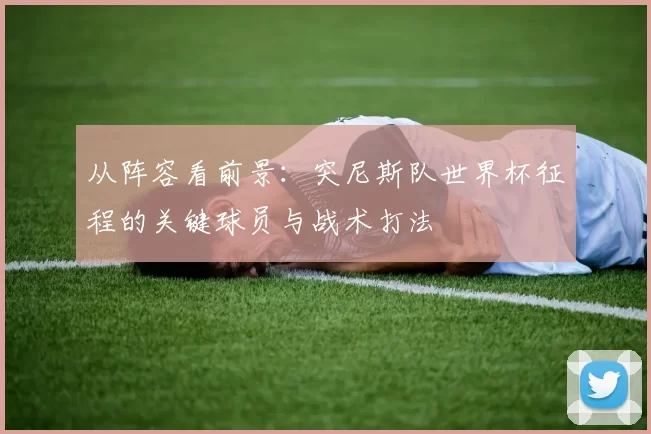 从阵容看前景:突尼斯队世界杯征程的关键球员与战术打法