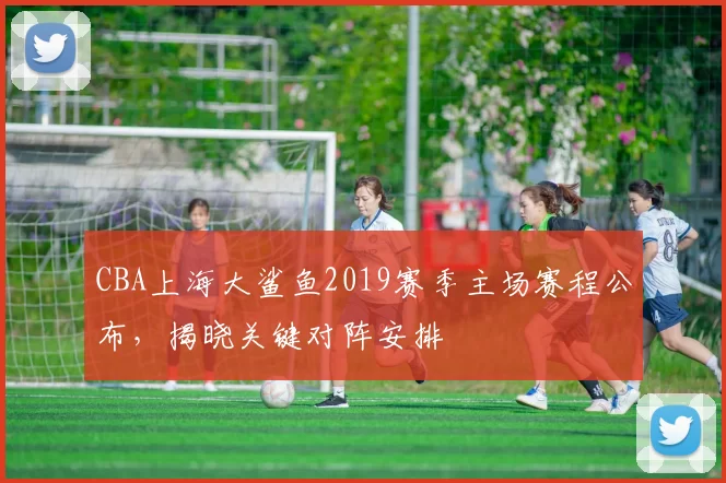 CBA上海大鲨鱼2019赛季主场赛程公布,揭晓关键对阵安排