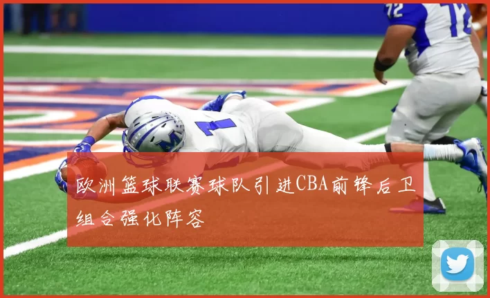 欧洲篮球联赛球队引进CBA前锋后卫组合强化阵容