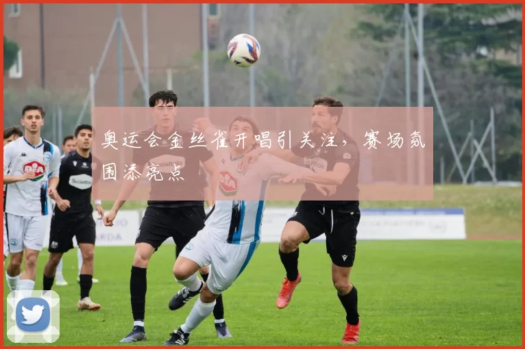 奥运会金丝雀开唱引关注,赛场氛围添亮点