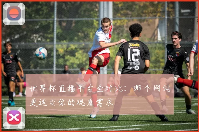 世界杯直播平台全对比:哪个网站更适合你的观看需求