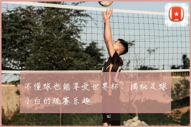 不懂球也能享受世界杯？揭秘足球小白的观赛乐趣