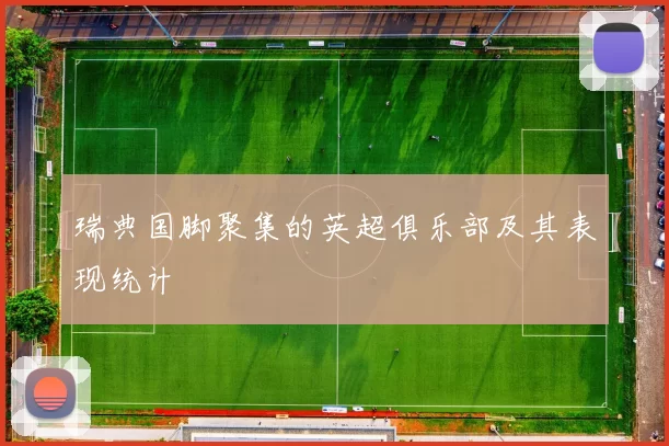 瑞典国脚聚集的英超俱乐部及其表现统计