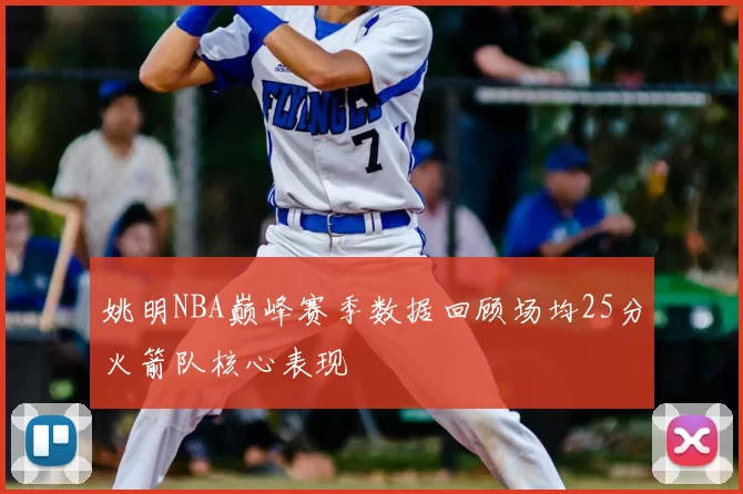 姚明NBA巅峰赛季数据回顾场均25分火箭队核心表现