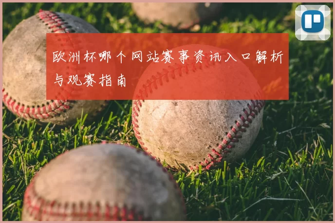 欧洲杯哪个网站赛事资讯入口解析与观赛指南