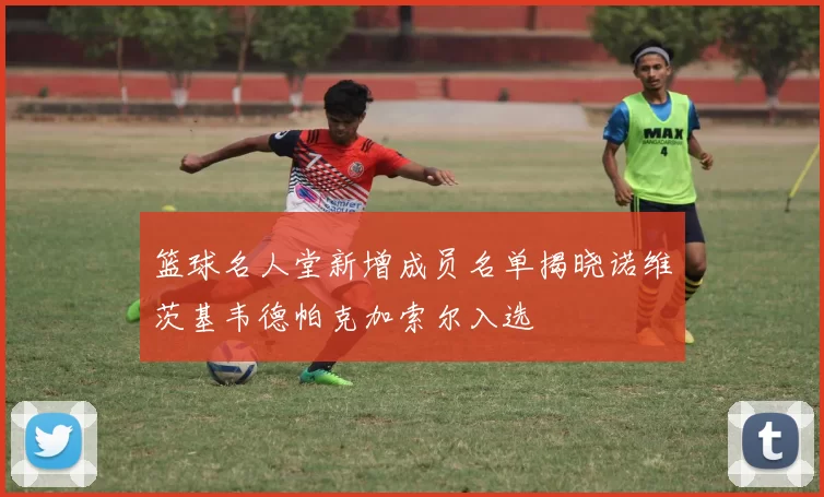 篮球名人堂新增成员名单揭晓诺维茨基韦德帕克加索尔入选
