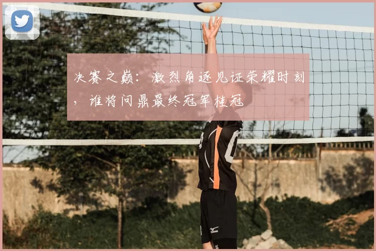 决赛之巅:激烈角逐见证荣耀时刻,谁将问鼎最终冠军桂冠