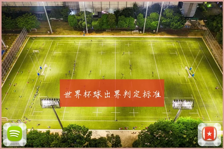 世界杯球出界判定标准