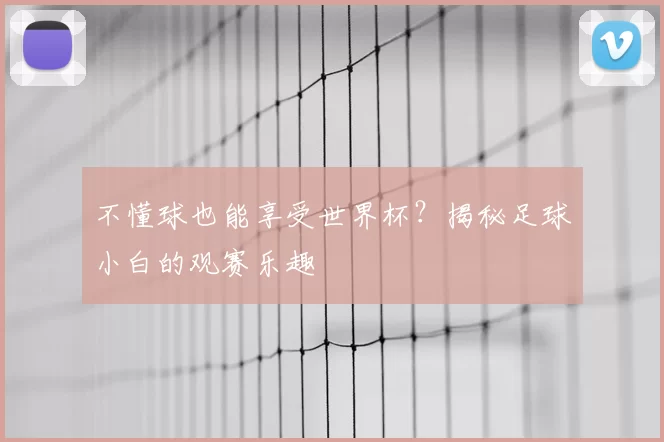 不懂球也能享受世界杯？揭秘足球小白的观赛乐趣