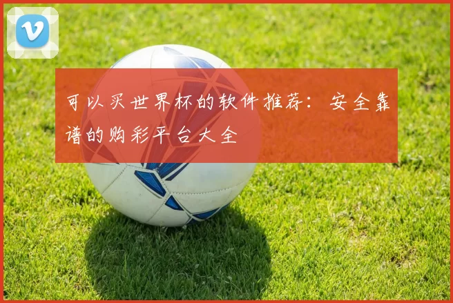 可以买世界杯的软件推荐:安全靠谱的购彩平台大全