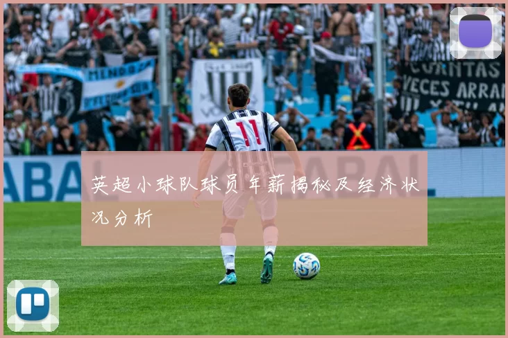 英超小球队球员年薪揭秘及经济状况分析