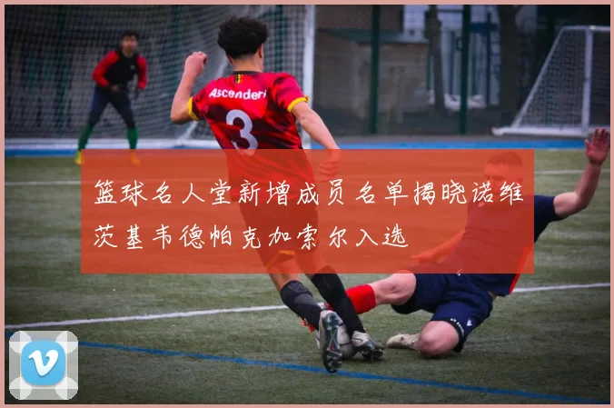 篮球名人堂新增成员名单揭晓诺维茨基韦德帕克加索尔入选