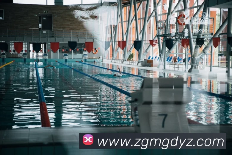 华体app官网平台生态图